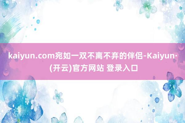 kaiyun.com宛如一双不离不弃的伴侣-Kaiyun· (开云)官方网站 登录入口
