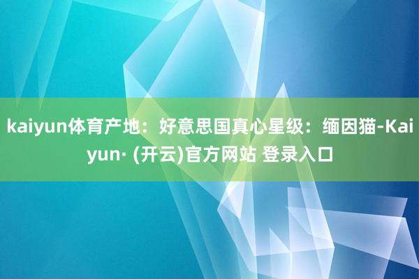 kaiyun体育产地：好意思国真心星级：缅因猫-Kaiyun· (开云)官方网站 登录入口
