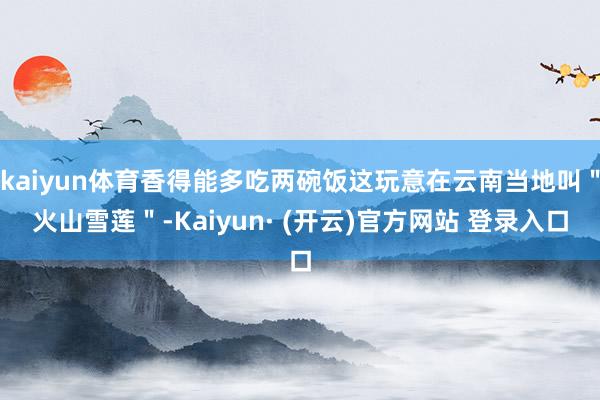 kaiyun体育香得能多吃两碗饭这玩意在云南当地叫＂火山雪莲＂-Kaiyun· (开云)官方网站 登录入口