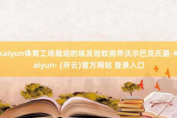 kaiyun体育工场栽培的埃及斑蚊捎带沃尔巴克氏菌-Kaiyun· (开云)官方网站 登录入口