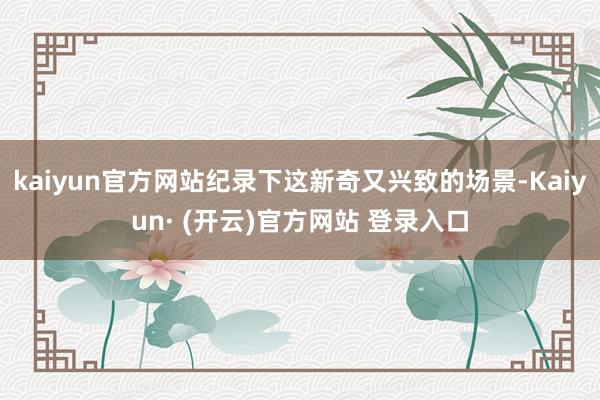 kaiyun官方网站纪录下这新奇又兴致的场景-Kaiyun· (开云)官方网站 登录入口