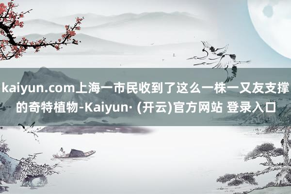 kaiyun.com上海一市民收到了这么一株一又友支撑的奇特植物-Kaiyun· (开云)官方网站 登录入口