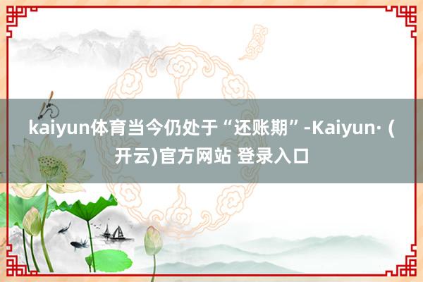 kaiyun体育当今仍处于“还账期”-Kaiyun· (开云)官方网站 登录入口