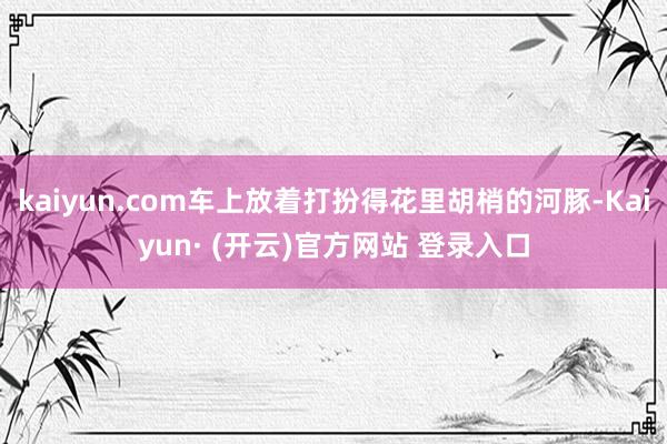 kaiyun.com车上放着打扮得花里胡梢的河豚-Kaiyun· (开云)官方网站 登录入口