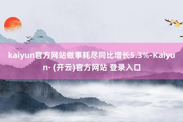 kaiyun官方网站做事耗尽同比增长5.3%-Kaiyun· (开云)官方网站 登录入口